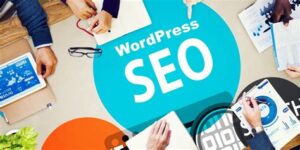 Wordpress Eklenti Nedir ve Neden Kullanmalıyım?