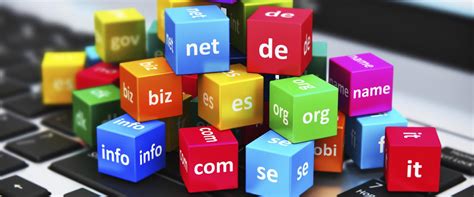 Domain Fiyatları ve Trendler