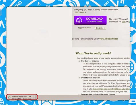 Yasaklı Sitelere Tor Browser Kullanarak Erişim